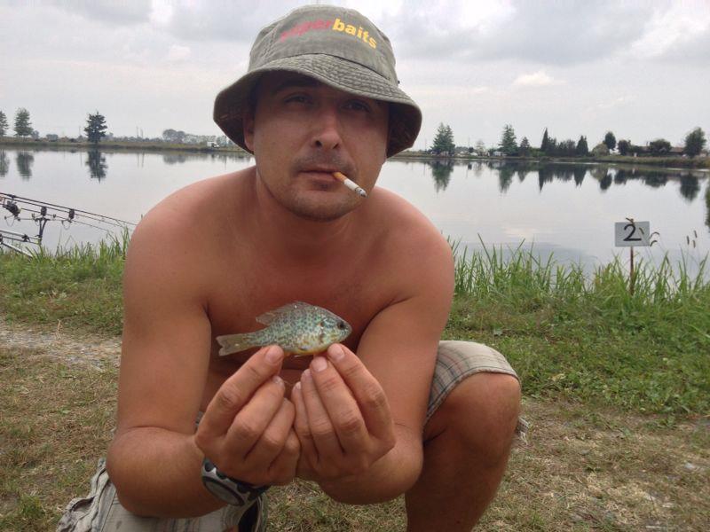 diverse - img-20131014-wa0012.jpg